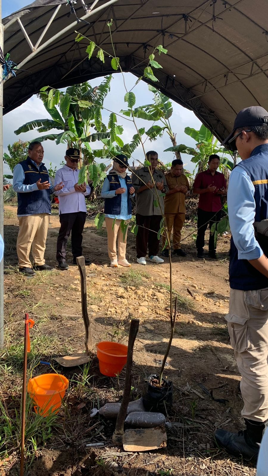 Dokumentasi Penanaman Pohon Bersama Otorita IKN, foto 4.