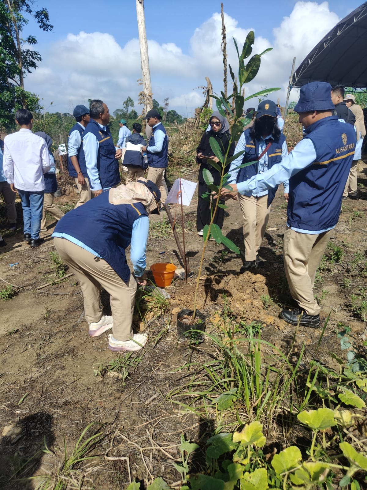 Dokumentasi Penanaman Pohon Bersama Otorita IKN, foto 11.