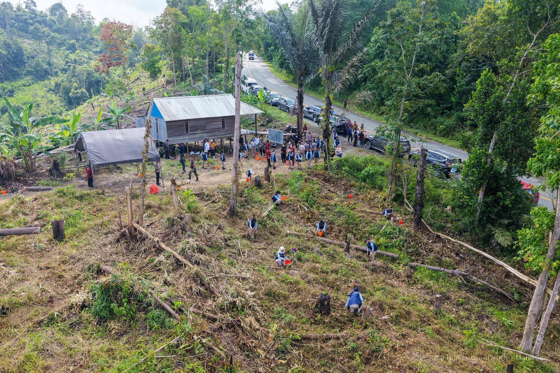 Dokumentasi Penanaman Pohon Bersama Otorita IKN, foto 12.